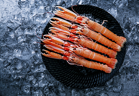 祥鮮國際貿(mào)易（上海）有限公司——拓展食源，鮮享生活每一天(圖5)