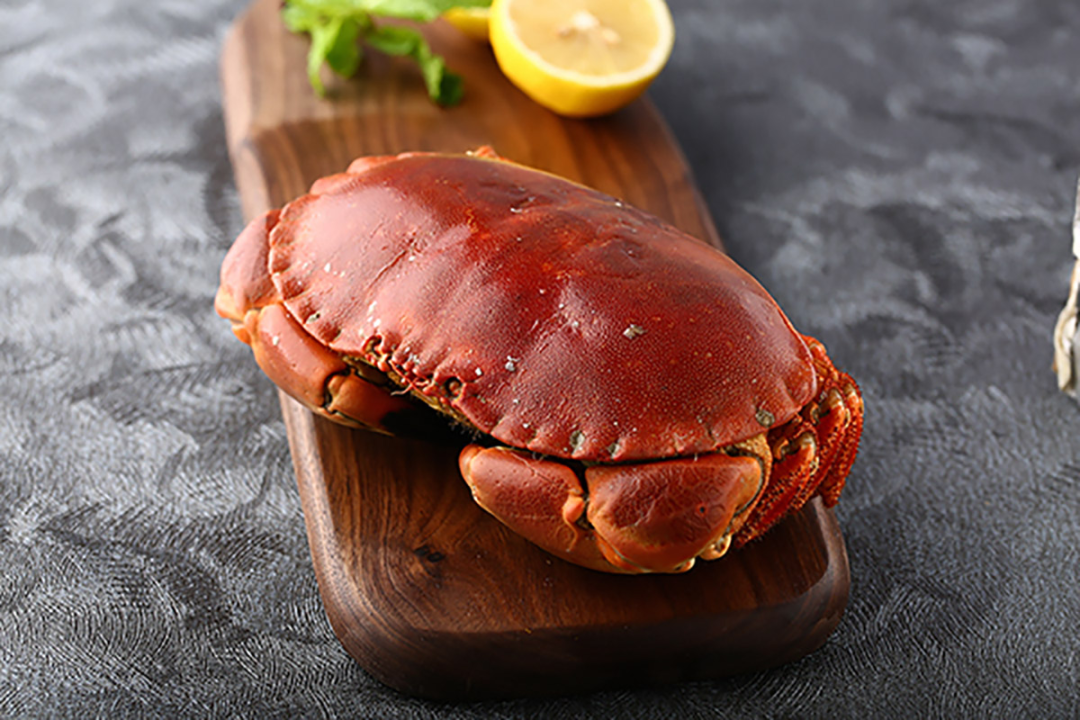 祥鮮國際貿(mào)易（上海）有限公司——拓展食源，鮮享生活每一天(圖9)