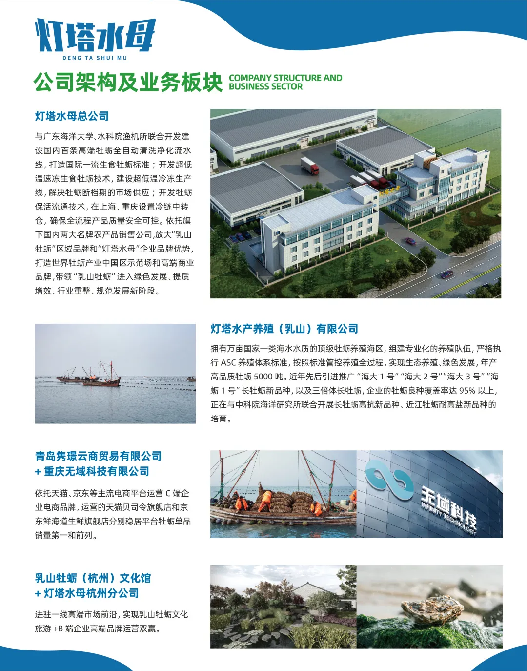 燈塔水母——高品質(zhì)牡蠣品牌(圖3)