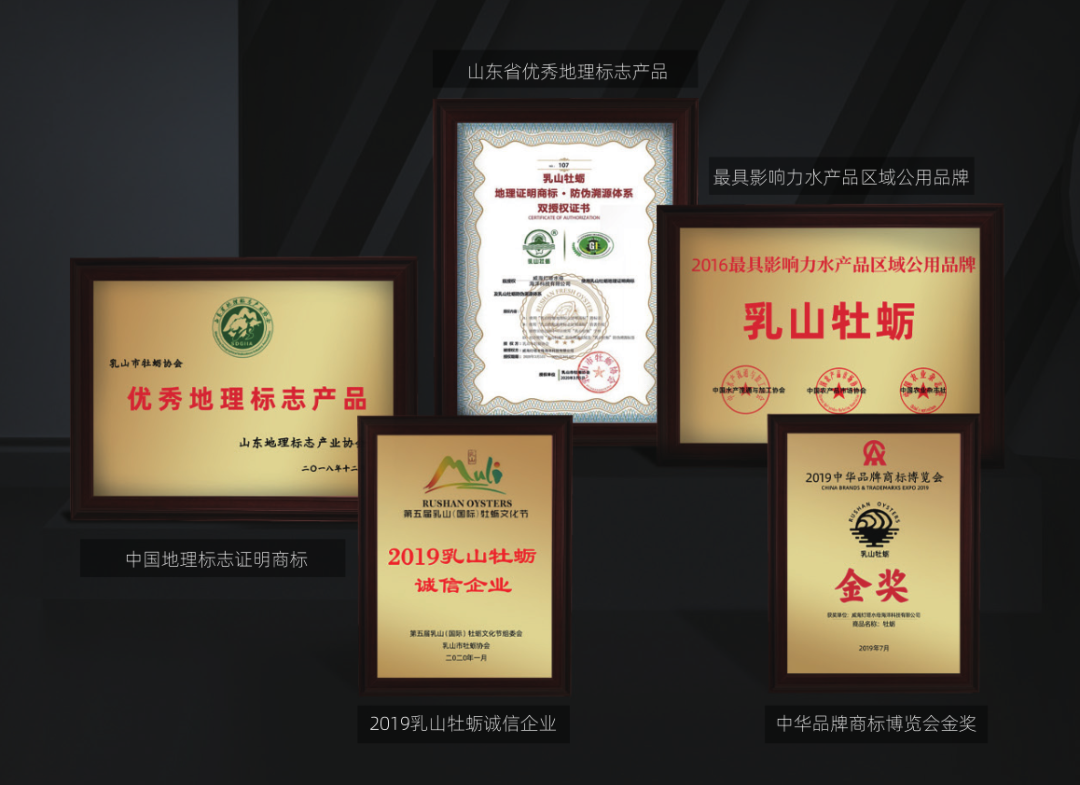 燈塔水母——高品質(zhì)牡蠣品牌(圖8)