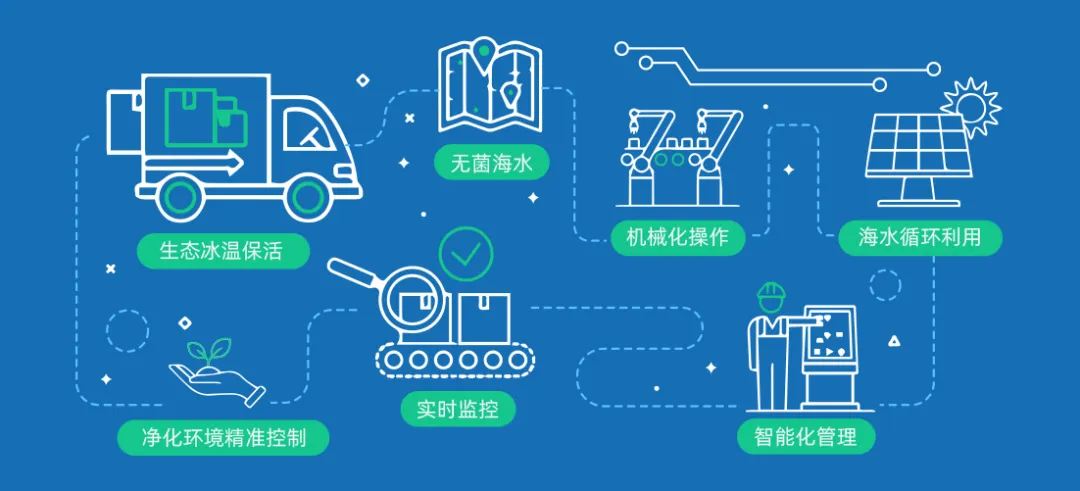 燈塔水母——高品質(zhì)牡蠣品牌(圖14)