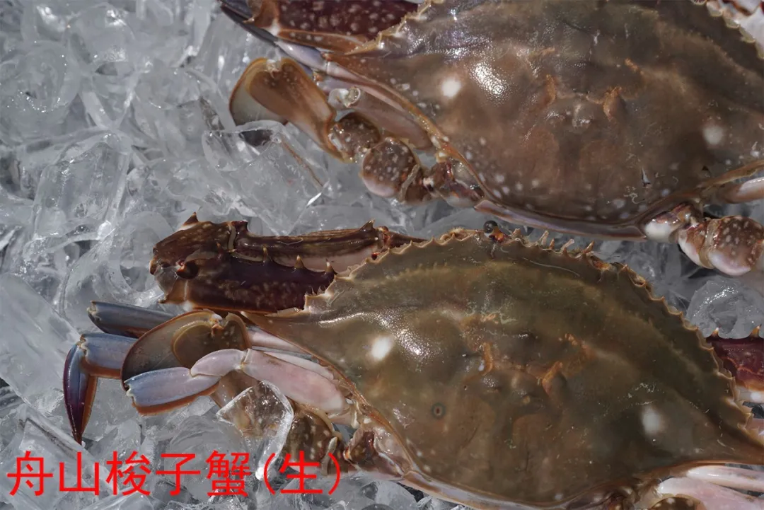 舟山金星水產(chǎn)有限公司——吃舟山海鮮，享人間美味!(圖11)