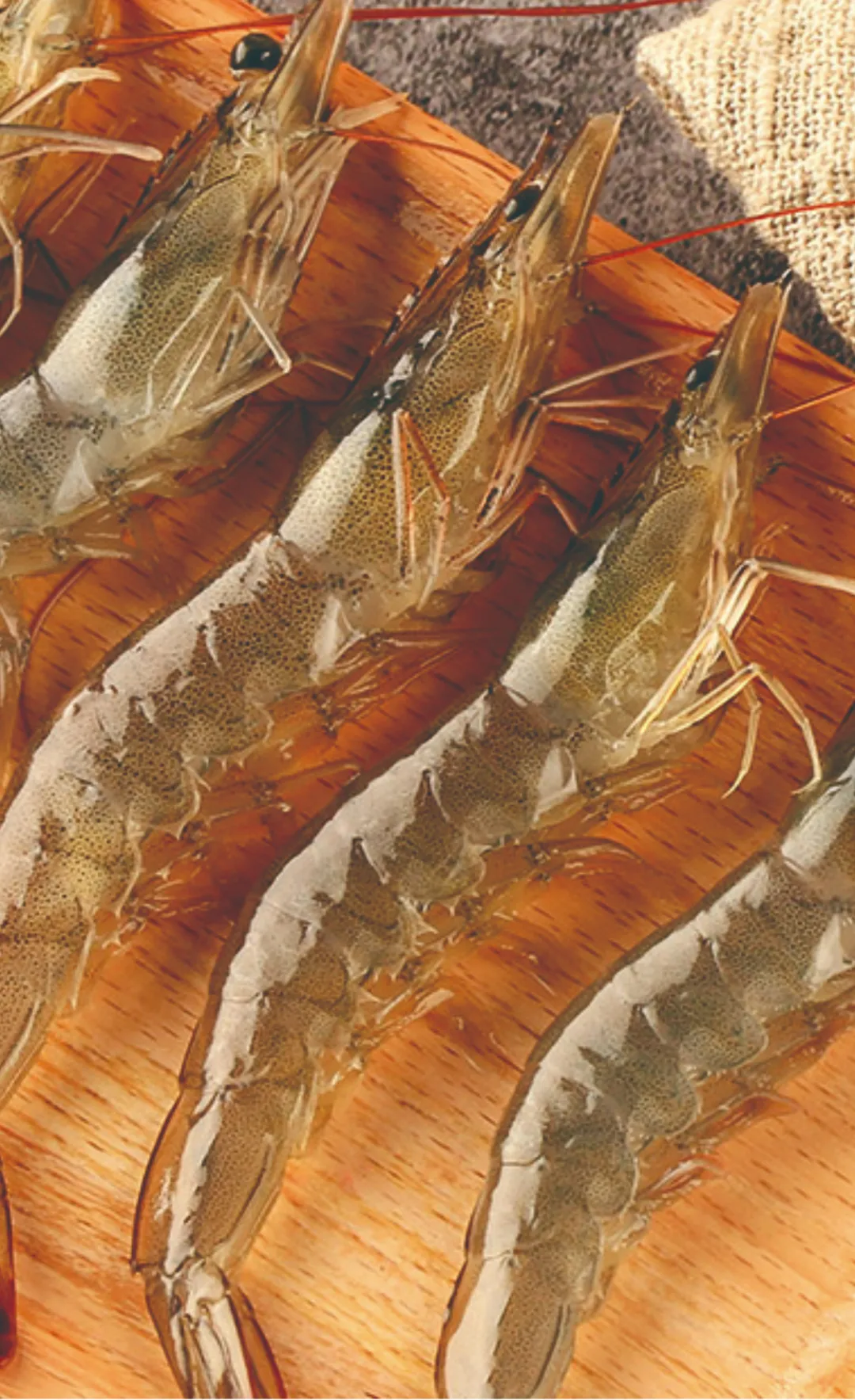 越南越海水產(chǎn)公司——為滿足客戶更多層次的產(chǎn)品需求和消費(fèi)者期望而不懈努力！(圖6)