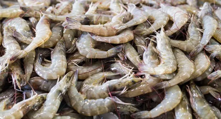 行業(yè) | 全球?qū)ξr貿(mào)易大觀(圖5)