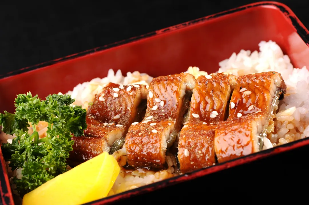 江西湖辰生態(tài)科技有限公司——鰻鰻人生，有你向伴(圖5)