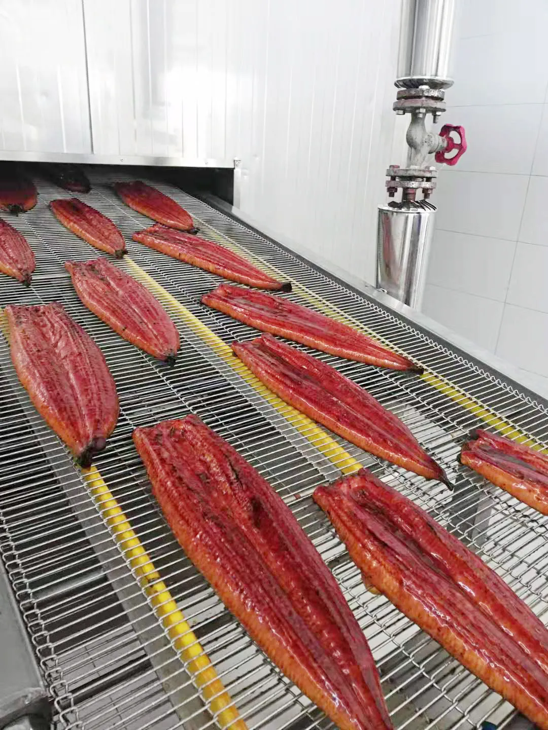 江西湖辰生態(tài)科技有限公司——鰻鰻人生，有你向伴(圖7)