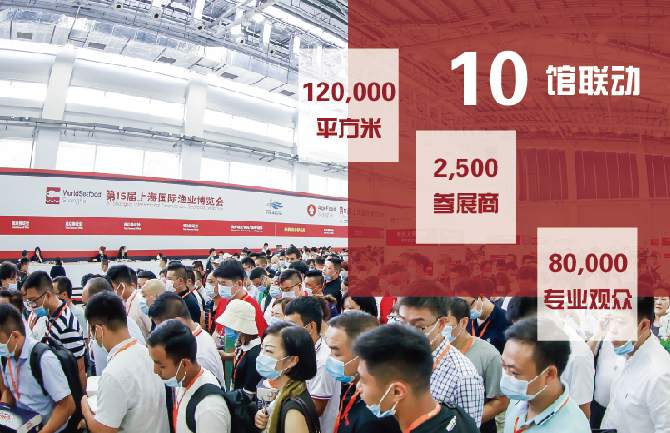 2021上海國際漁博會品質(zhì)共鑒 | 全球海產(chǎn)匯聚，同心共譜漁業(yè)創(chuàng)新發(fā)展新篇章?！(圖4)