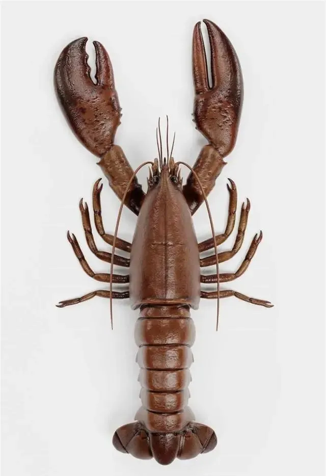 消費升級，引發(fā)國內(nèi)海鮮市場發(fā)展熱潮！中國成為全球第二大波士頓龍蝦進口國！(圖2)