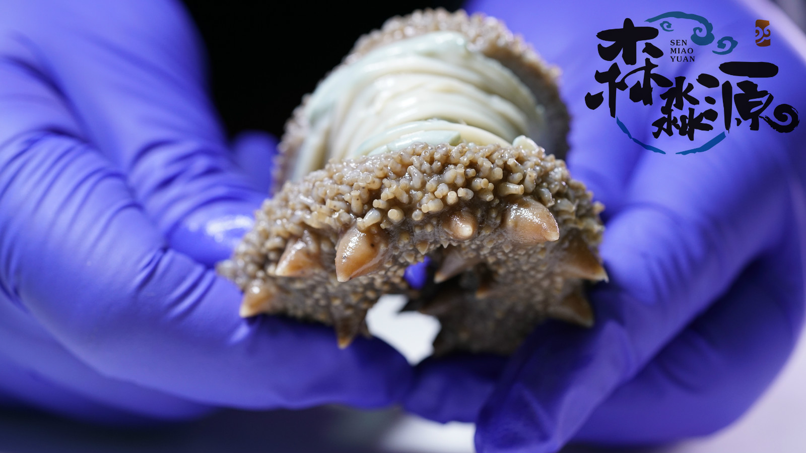 煙臺森淼源生物科技有限公司——即食海參專家，萬里挑一，不怕萬一(圖6)