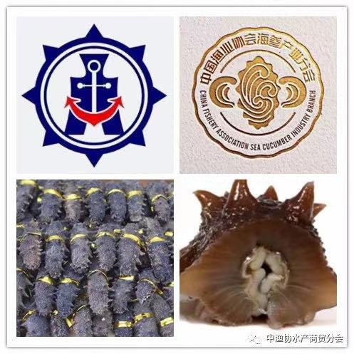 World Seafood Shanghai will grandly launch the China Good Seaf Cucumber and China Good Crab(圖10)