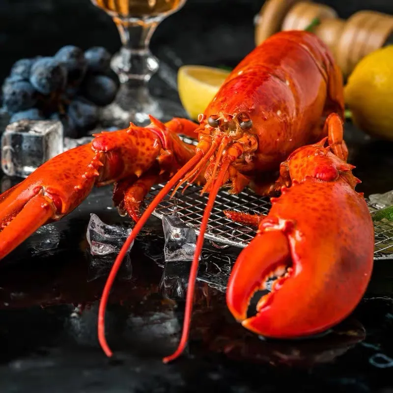 大連博大世界海鮮有限公司邀您參加第16屆上海國際漁業(yè)博覽會！(圖4)