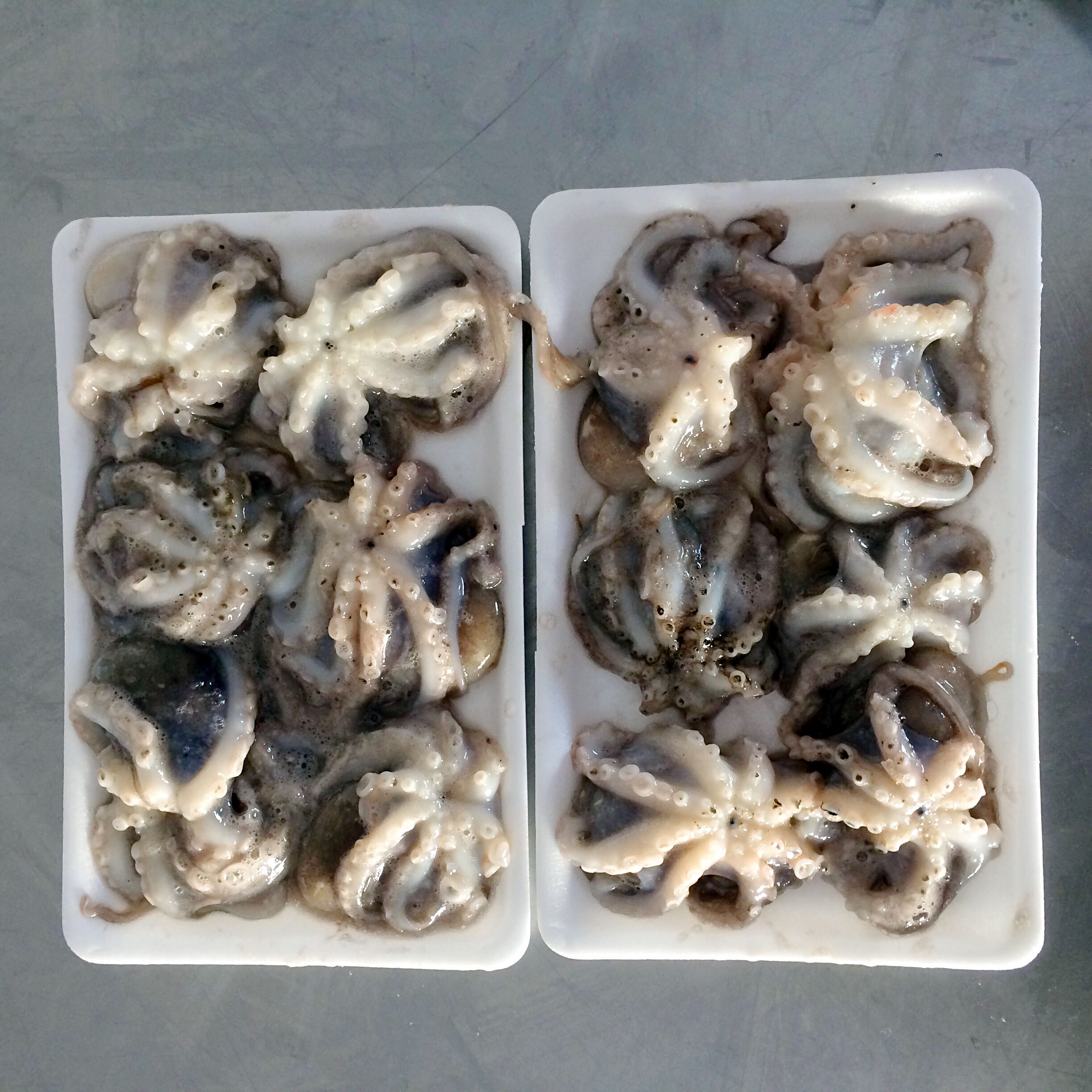 威海市潤德食品股份有限公司——感恩自然、回饋社會、和諧共贏、永續(xù)發(fā)展(圖6)