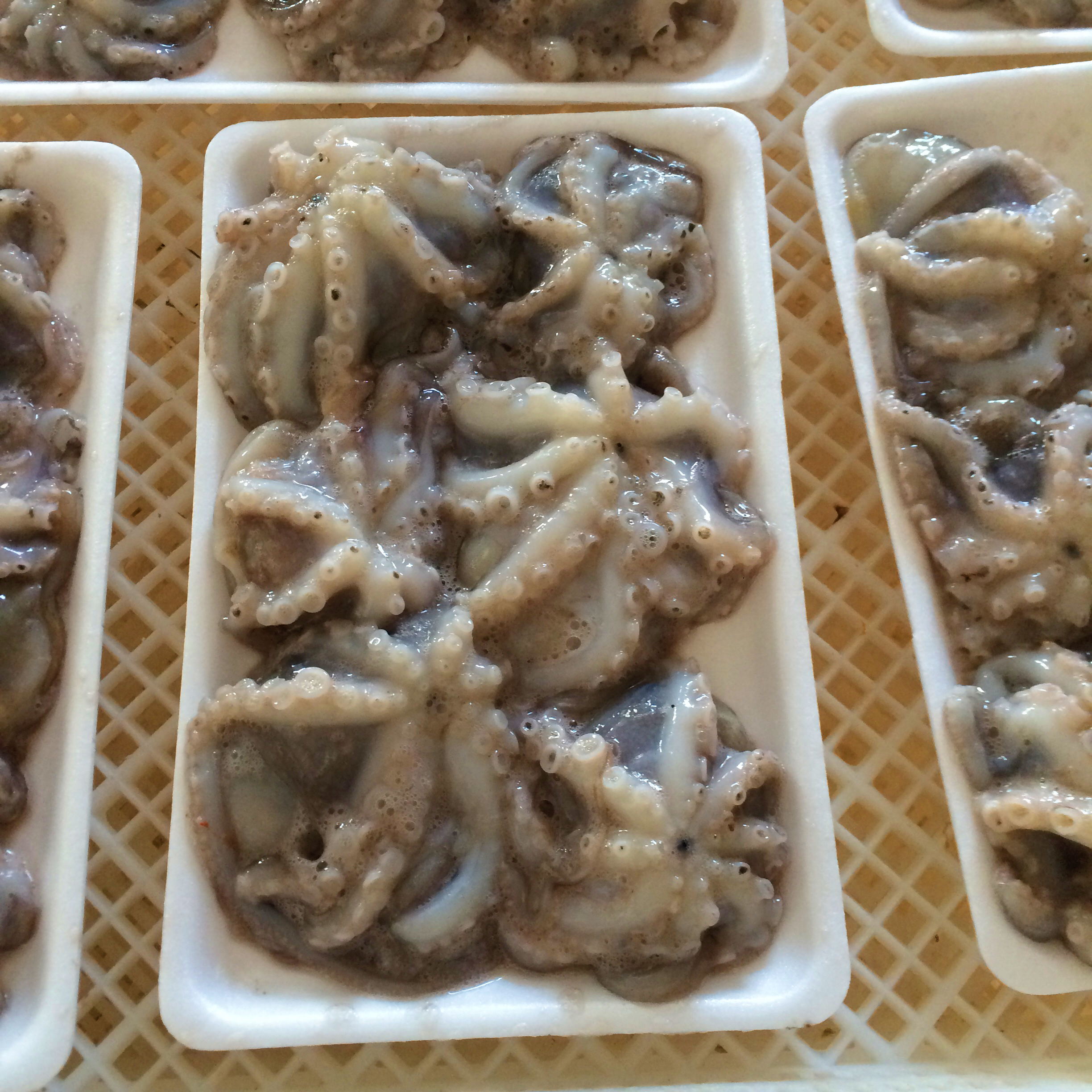 威海市潤德食品股份有限公司——感恩自然、回饋社會、和諧共贏、永續(xù)發(fā)展(圖5)