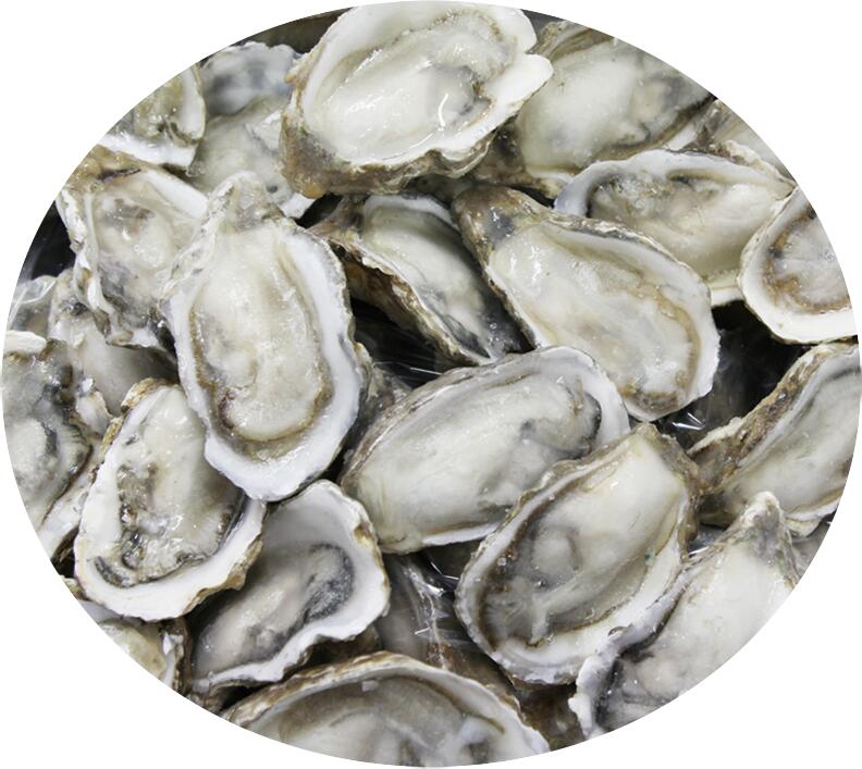 威海市潤德食品股份有限公司——感恩自然、回饋社會、和諧共贏、永續(xù)發(fā)展(圖12)