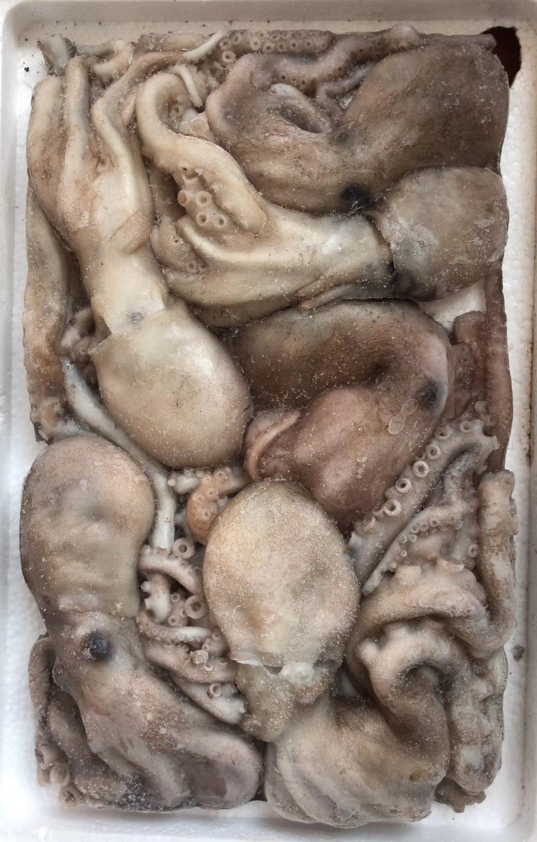 威海市潤德食品股份有限公司——感恩自然、回饋社會、和諧共贏、永續(xù)發(fā)展(圖10)