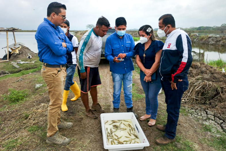 漁業(yè)數(shù)字化穩(wěn)步推進(jìn)，全球蝦類市場(chǎng)電商交易需求大增(圖4)