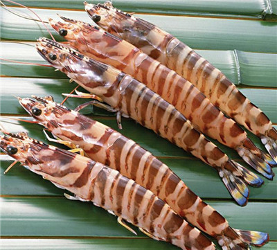 漁業(yè)數(shù)字化穩(wěn)步推進(jìn)，全球蝦類市場(chǎng)電商交易需求大增(圖5)