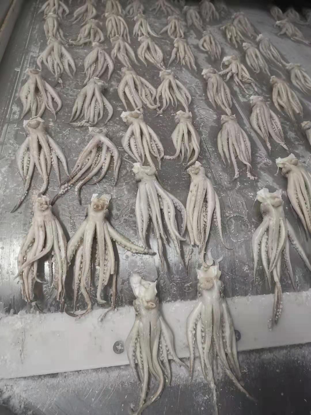 榮成市明源水產食品有限公司——質量為本 誠信至上(圖7)