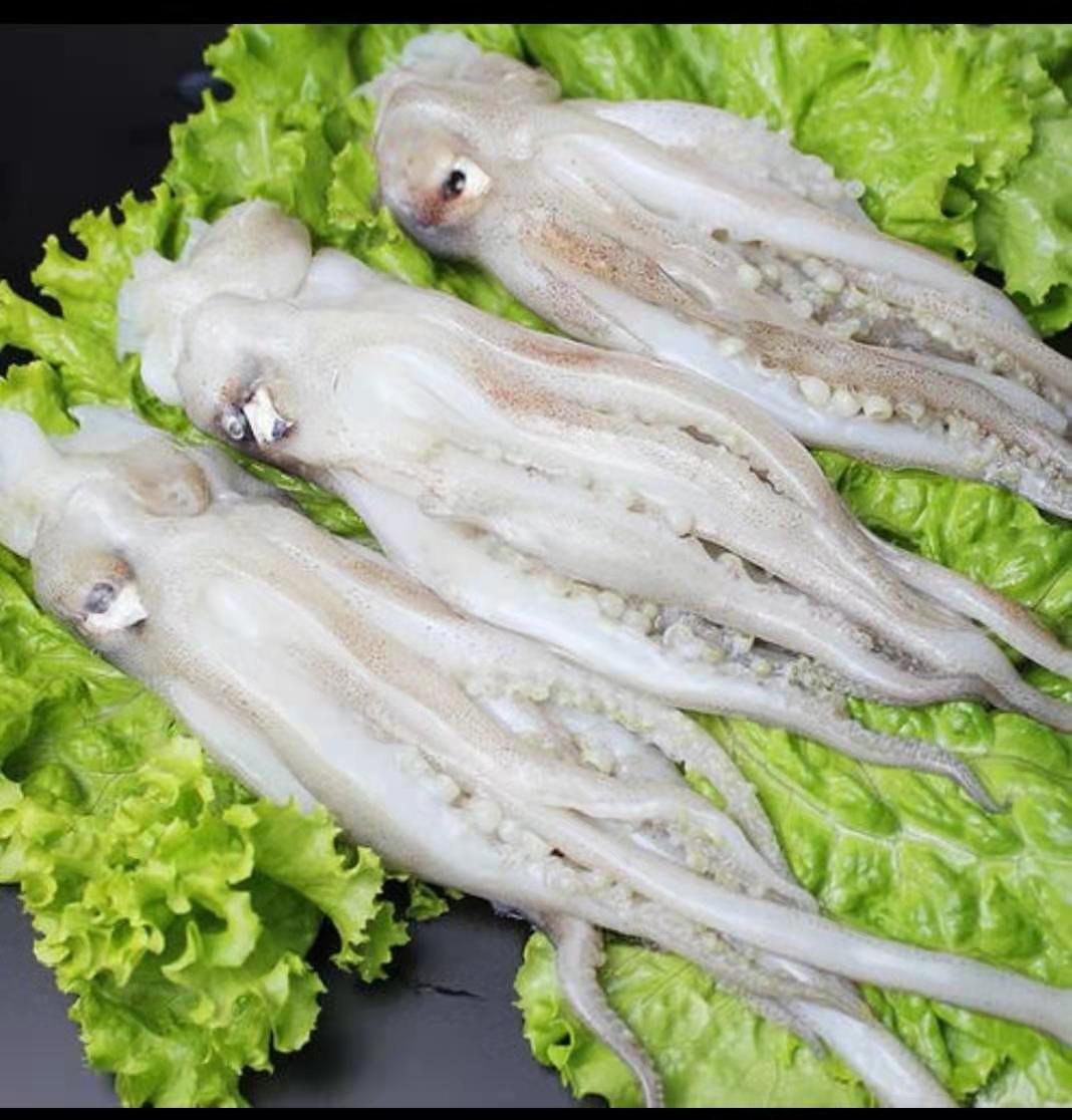 榮成市明源水產食品有限公司——質量為本 誠信至上(圖5)