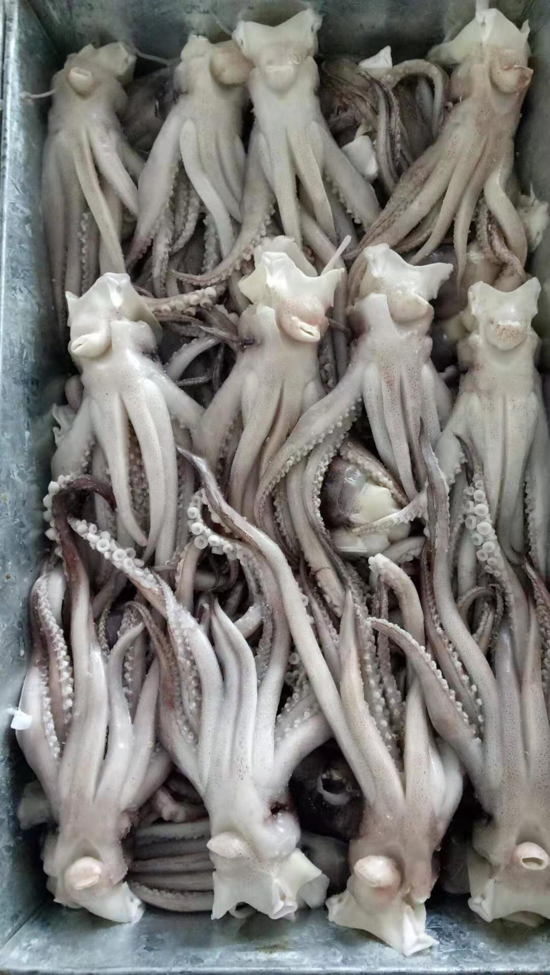 榮成市明源水產食品有限公司——質量為本 誠信至上(圖11)