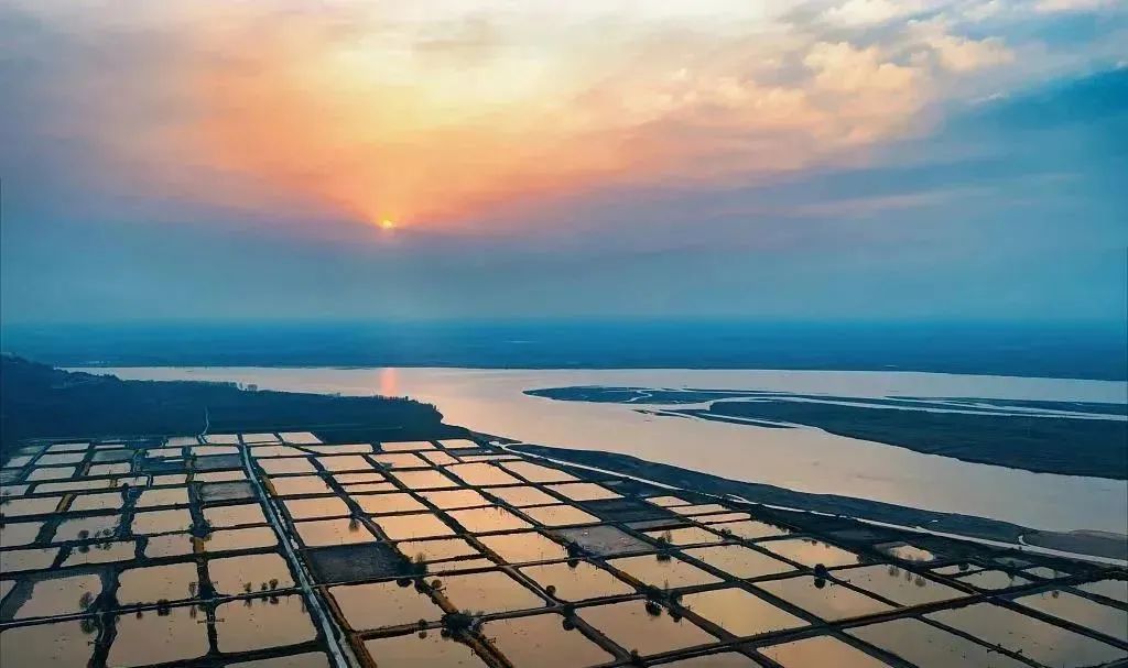 6月18-20日，2021中國(guó)國(guó)際水產(chǎn)博覽會(huì)如期舉辦！(圖13)