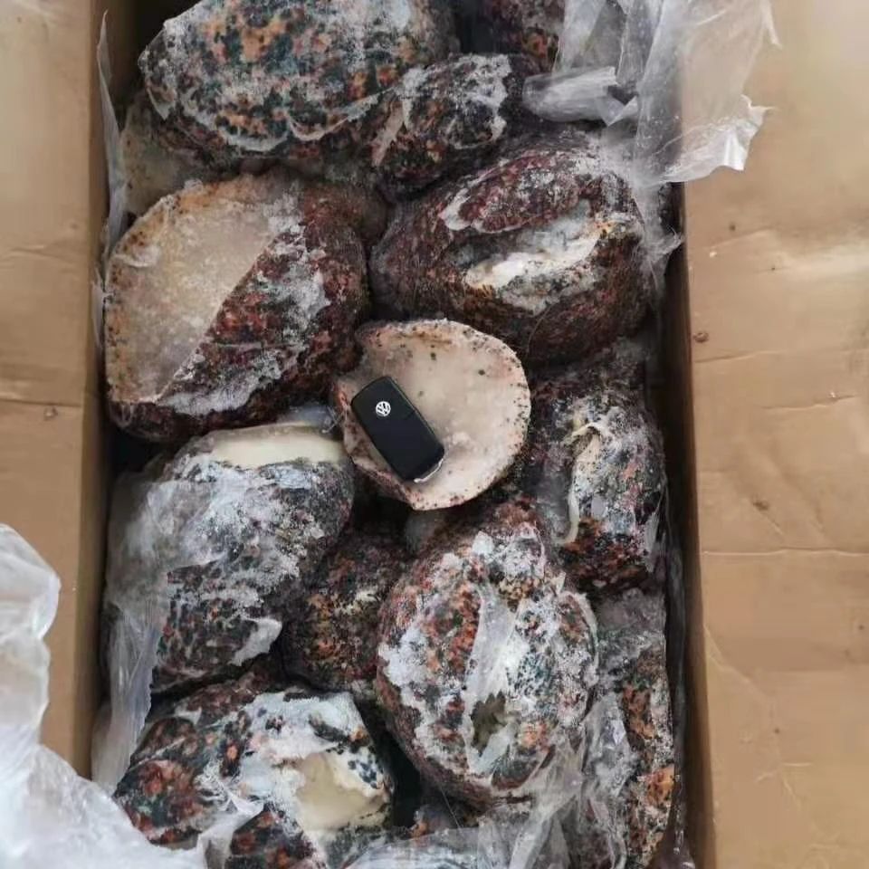 舟山市世紀(jì)星海洋食品有限公司——提供優(yōu)質(zhì)、安全、美味的海洋食品(圖7)