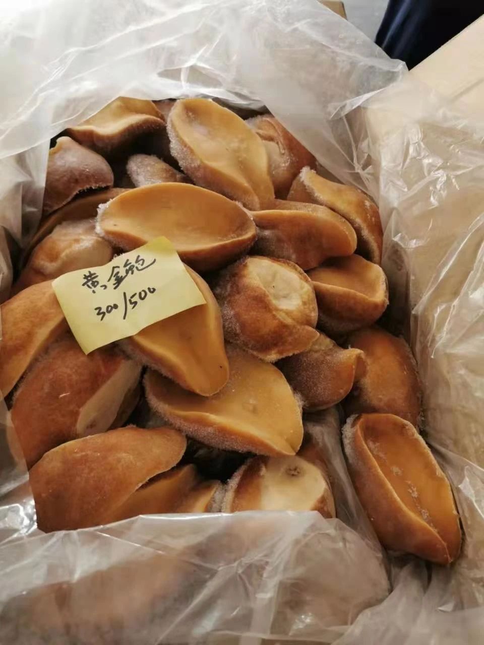 舟山市世紀(jì)星海洋食品有限公司——提供優(yōu)質(zhì)、安全、美味的海洋食品(圖8)