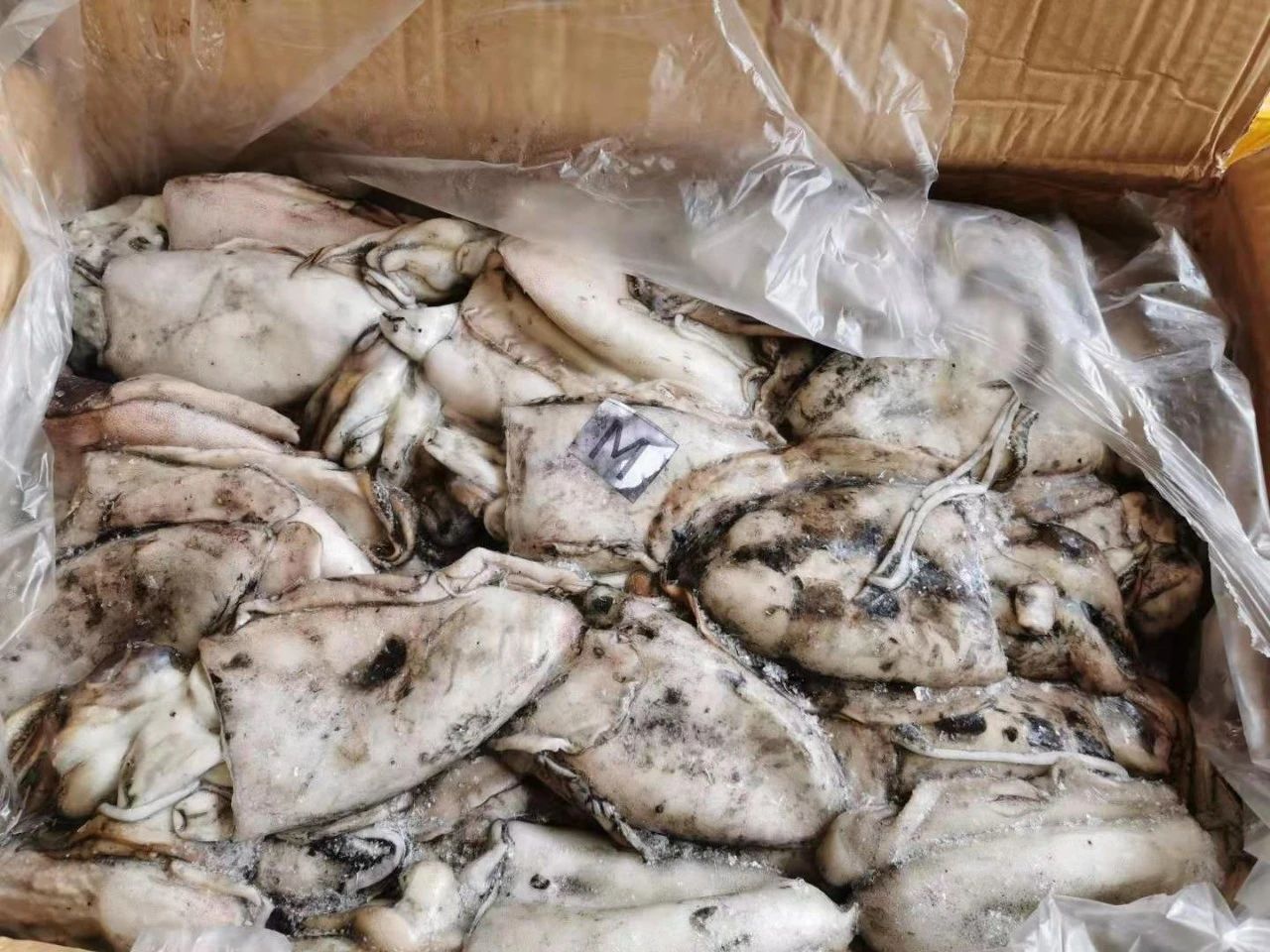 舟山市世紀(jì)星海洋食品有限公司——提供優(yōu)質(zhì)、安全、美味的海洋食品(圖10)