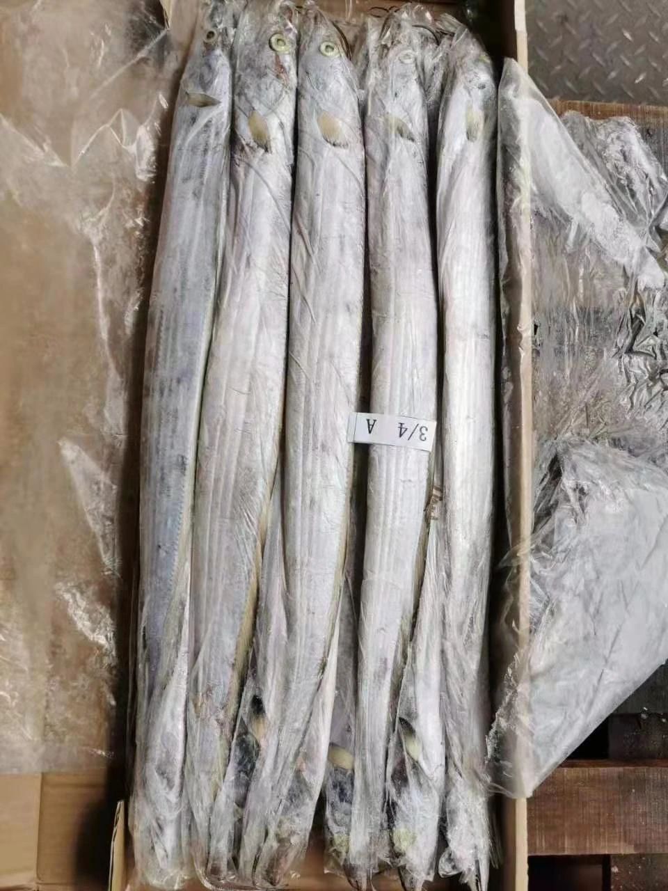 舟山市世紀(jì)星海洋食品有限公司——提供優(yōu)質(zhì)、安全、美味的海洋食品(圖9)