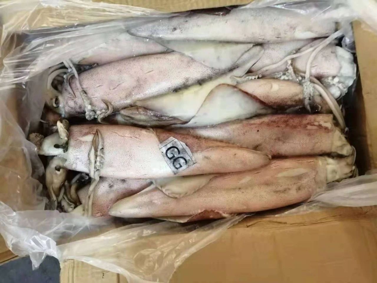 舟山市世紀(jì)星海洋食品有限公司——提供優(yōu)質(zhì)、安全、美味的海洋食品(圖11)