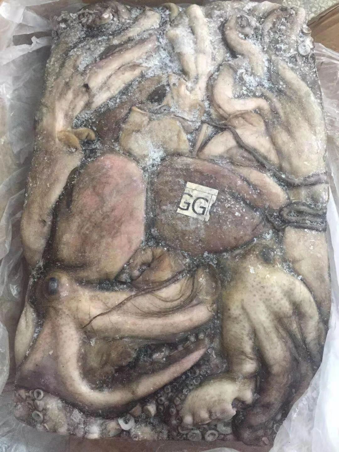 舟山市世紀(jì)星海洋食品有限公司——提供優(yōu)質(zhì)、安全、美味的海洋食品(圖12)