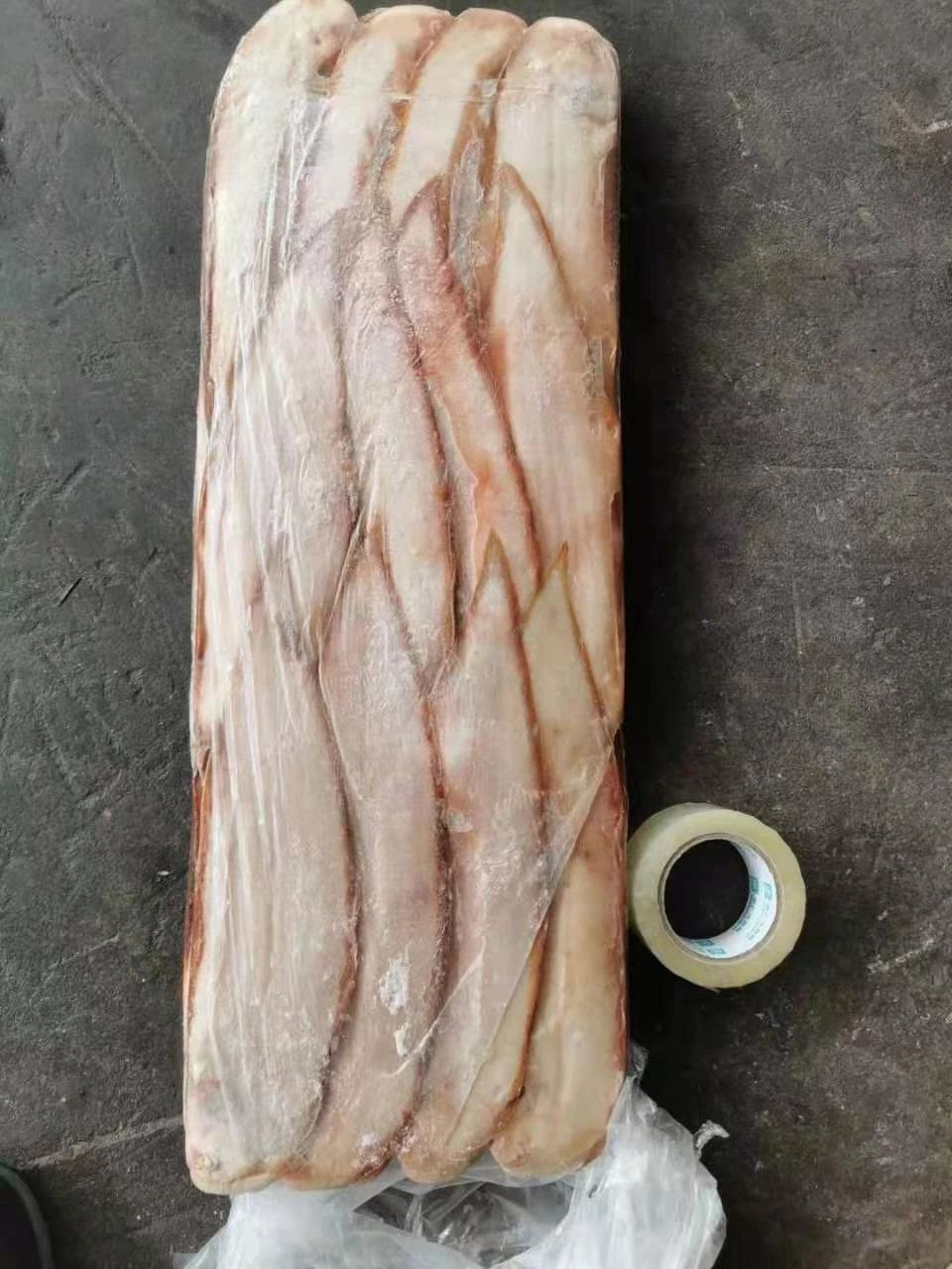 舟山市世紀(jì)星海洋食品有限公司——提供優(yōu)質(zhì)、安全、美味的海洋食品(圖13)