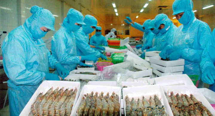 Vietnamese exec forecasts 2021 shrimp production of 930,000t(圖1)