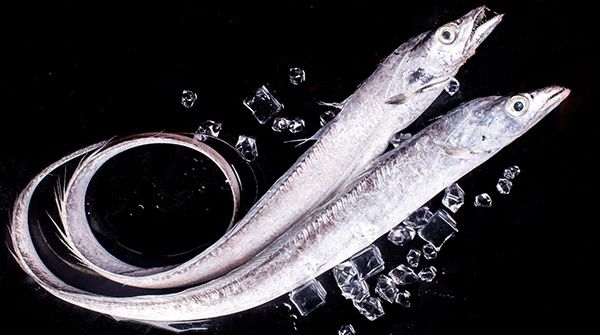 舟山晶和食品有限公司——品味全球海鮮，感受舌尖鮮甜(圖4)