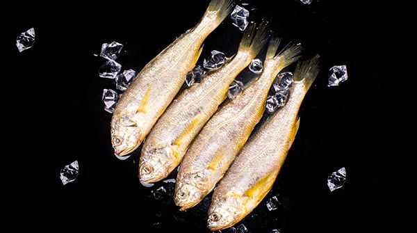 舟山晶和食品有限公司——品味全球海鮮，感受舌尖鮮甜(圖5)