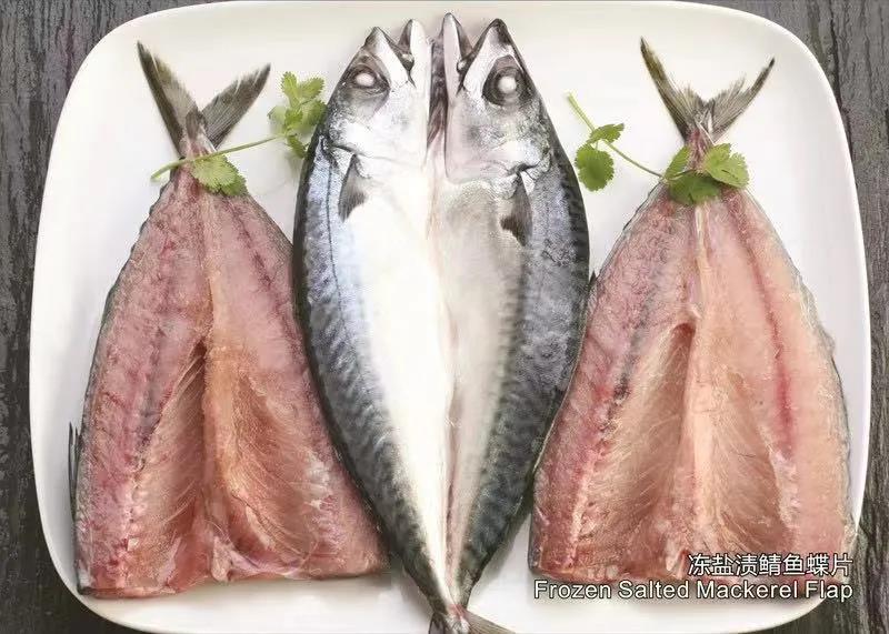 舟山市雙贏水產(chǎn)有限公司——專業(yè)冷凍鯖魚加工廠/Professional Mackerel Producer(圖4)