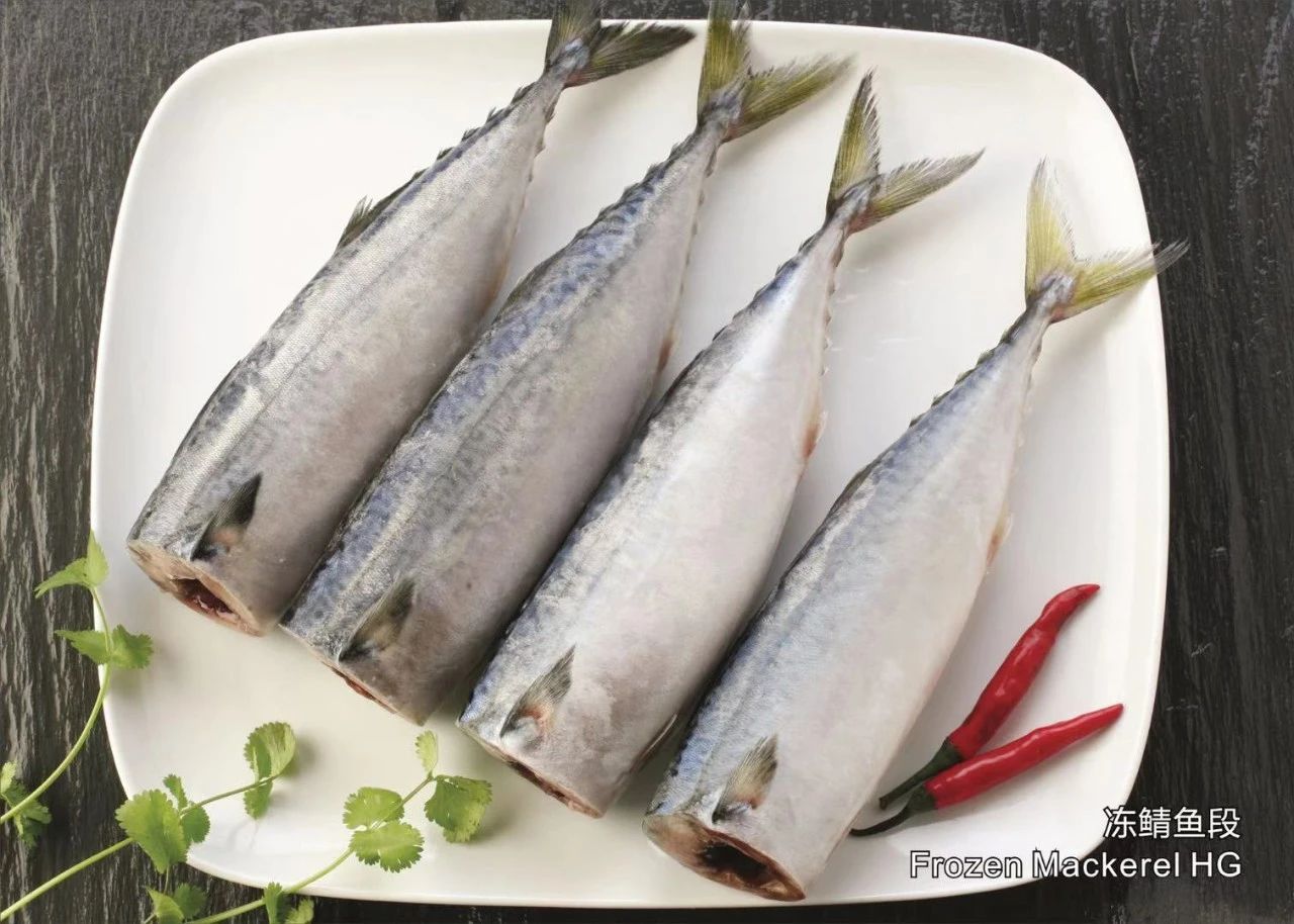 舟山市雙贏水產(chǎn)有限公司——專業(yè)冷凍鯖魚加工廠/Professional Mackerel Producer(圖7)