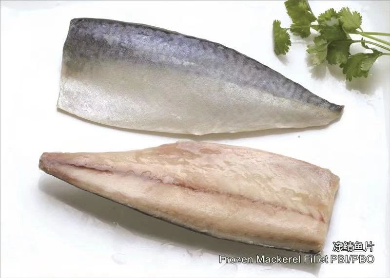舟山市雙贏水產(chǎn)有限公司——專業(yè)冷凍鯖魚加工廠/Professional Mackerel Producer(圖6)