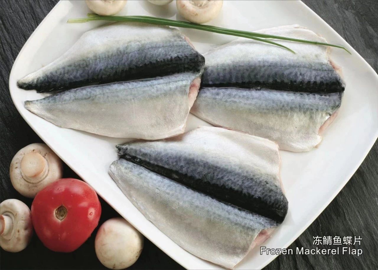 舟山市雙贏水產(chǎn)有限公司——專業(yè)冷凍鯖魚加工廠/Professional Mackerel Producer(圖5)