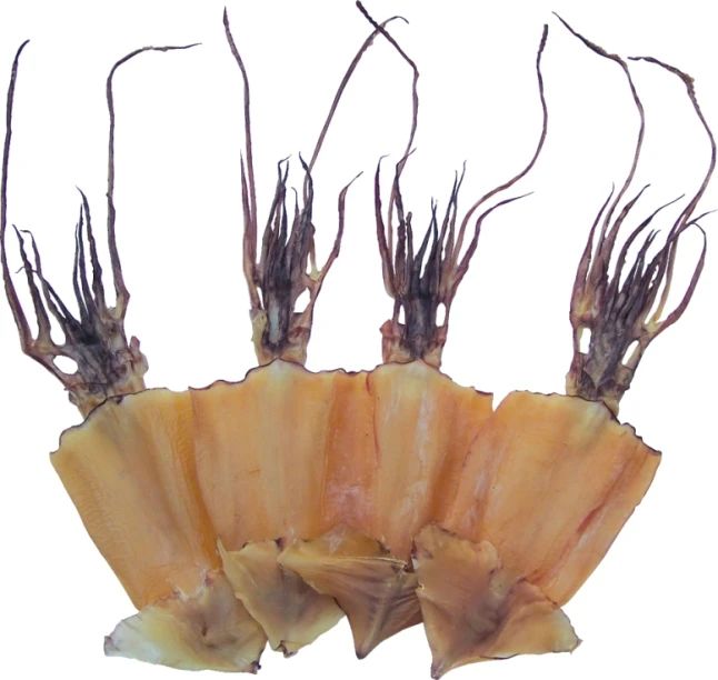 浙江富丹旅游食品有限公司——來舟山旅游，帶富丹食品(圖12)