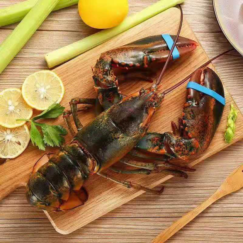 上海儀豐食品有限公司——誠(chéng)信經(jīng)營(yíng)，合作共贏(圖4)