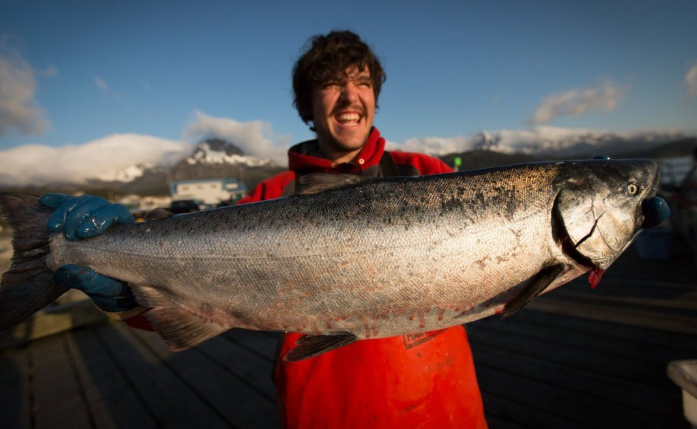 Sky-high prices for early Copper River reds and kings(圖2) Sky-high prices for early Copper River reds and kings(圖2)