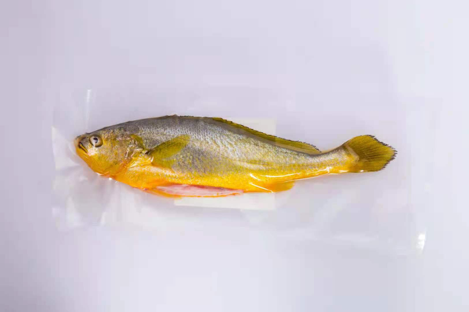 寧德市福東海水產(chǎn)品有限公司——依科技、講誠信、重質(zhì)量(圖6)