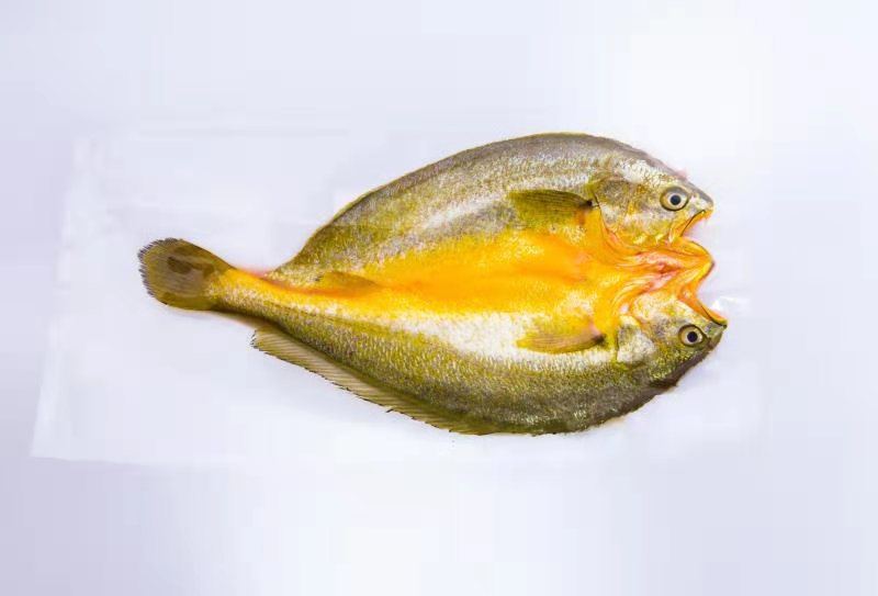 寧德市福東海水產(chǎn)品有限公司——依科技、講誠信、重質(zhì)量(圖5)