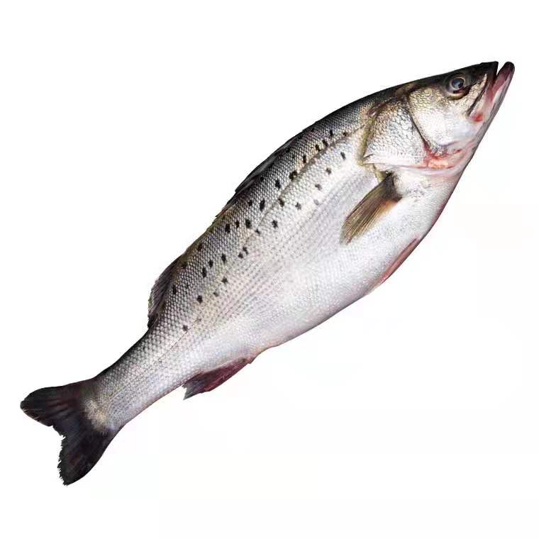 杭州潮潤(rùn)食品科技有限公司——質(zhì)量第一服務(wù)第一客戶(hù)第一(圖4)