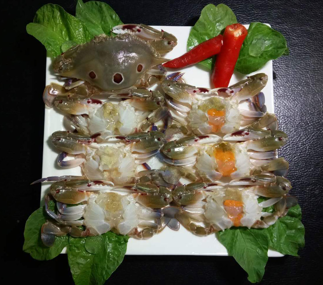 廣東鴻鑫水產(chǎn)有限公司——健康、安全、衛(wèi)生、優(yōu)質(zhì)(圖5)