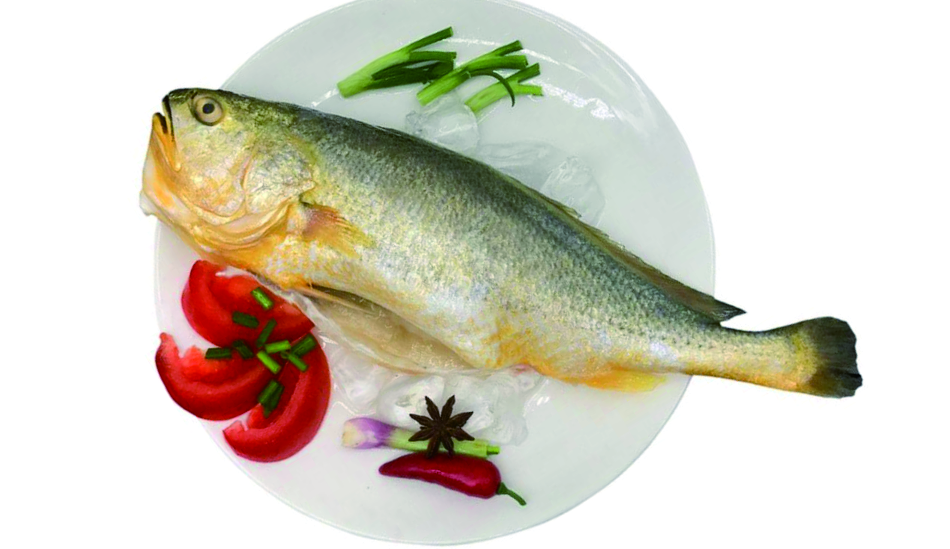 寧德市星光食品有限公司——誠信、負責、精致、優(yōu)質(zhì)(圖8)