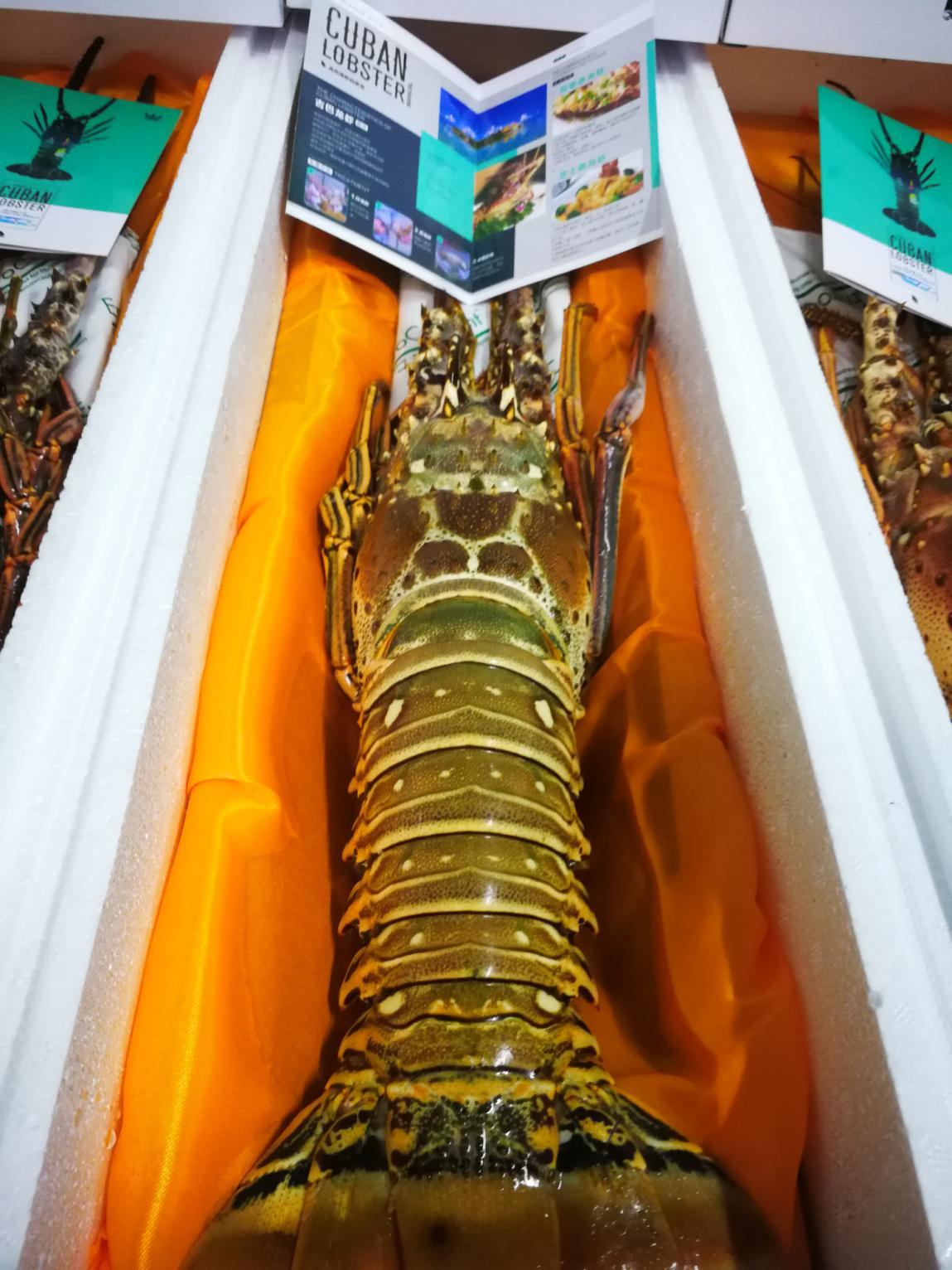 青島盛海明嘉貿(mào)易有限公司——客戶第一、團隊合作、擁抱變化(圖6)