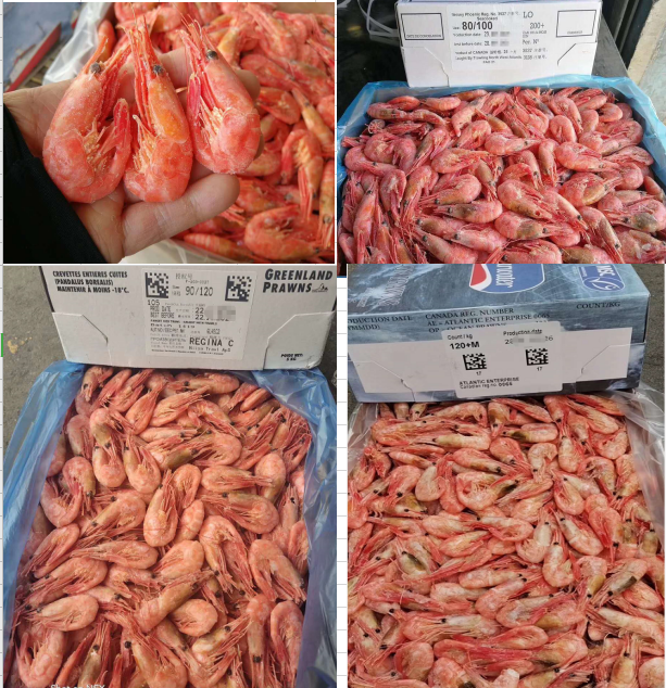 青島盛海明嘉貿(mào)易有限公司——客戶第一、團隊合作、擁抱變化(圖5)