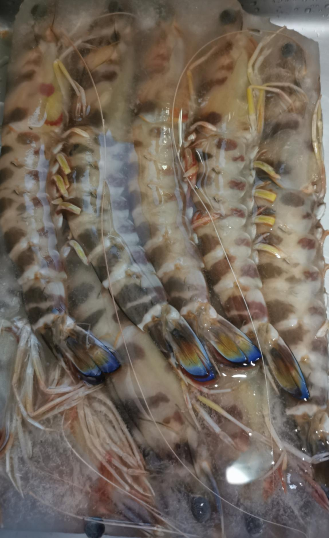 青島盛海明嘉貿(mào)易有限公司——客戶第一、團隊合作、擁抱變化(圖7)